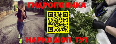 PSILOCYBIN Краснокаменск