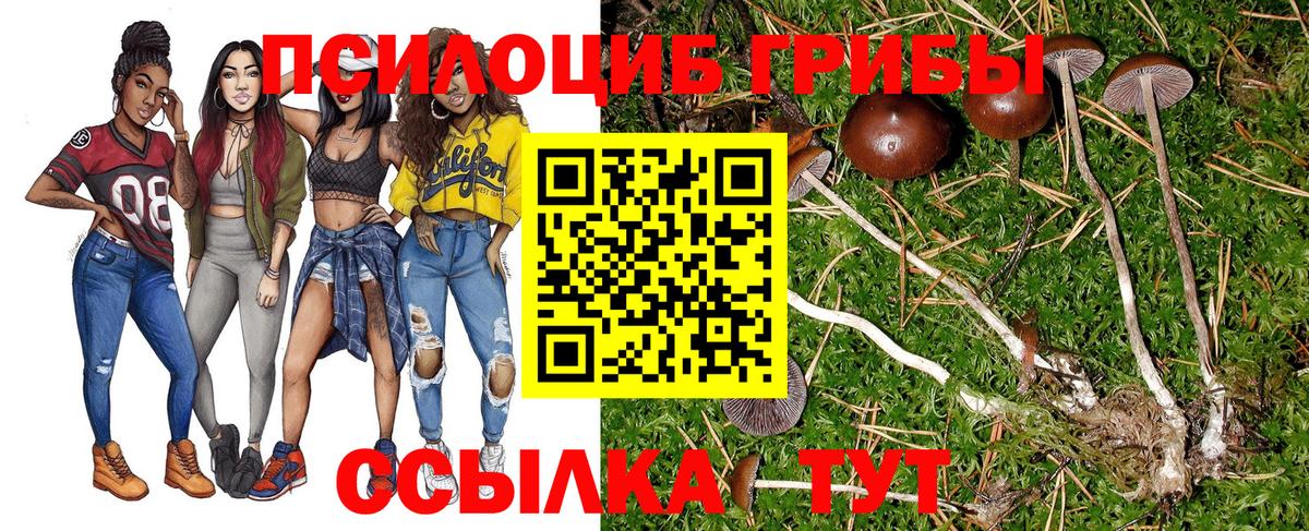 Кропоткин  Галлюциногенные грибы мицелий  купить наркотик  Вход с VPN 